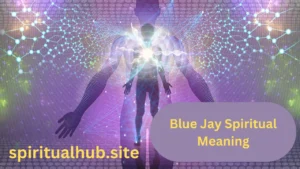 Blue Jay Spiritual Meaning