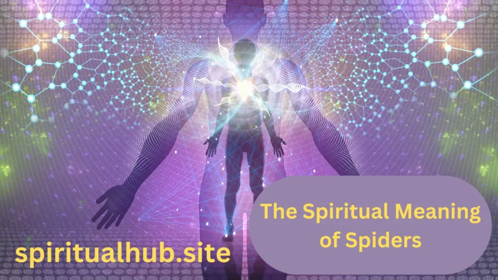 The Spiritual Meaning of Spiders